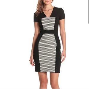 Yoana Baraschi Optic Dot Morph Dress Size 6